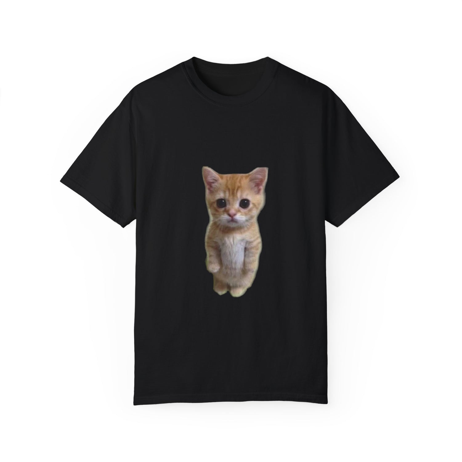 Meme Cat Mania (14.99$ to 39.99$)