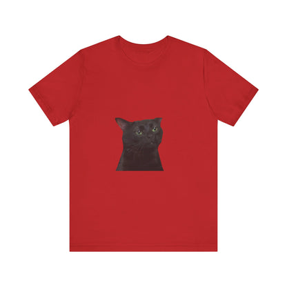 "Expressive Elegance: Sad Cat Unisex Jersey Short Sleeve Tee - Wear Your Emotions with Feline Grace!"