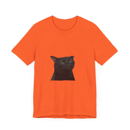 "Expressive Elegance: Sad Cat Unisex Jersey Short Sleeve Tee - Wear Your Emotions with Feline Grace!"