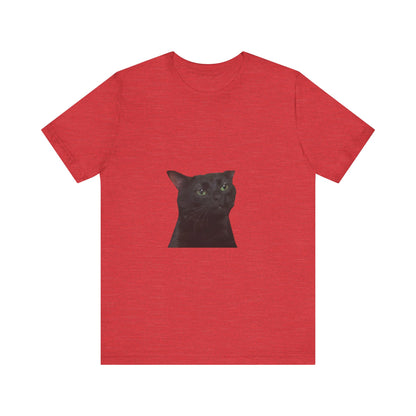 "Expressive Elegance: Sad Cat Unisex Jersey Short Sleeve Tee - Wear Your Emotions with Feline Grace!"