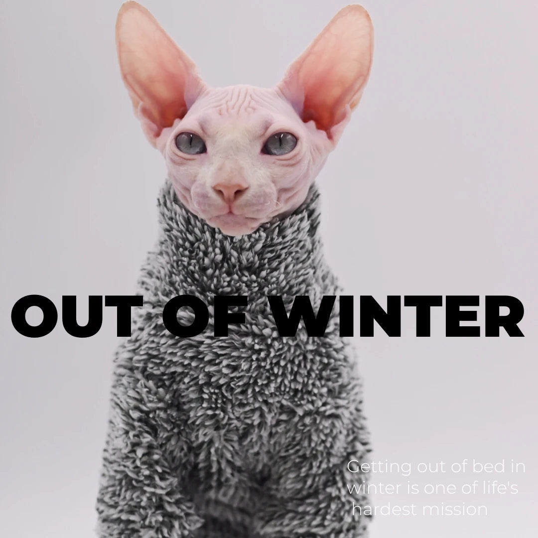 DUOMASUMI Super Cool Cat Outfits Autumn Winter Warm Wearing Hairless Cat Apparel Clothing Sphynx Cat Clothes