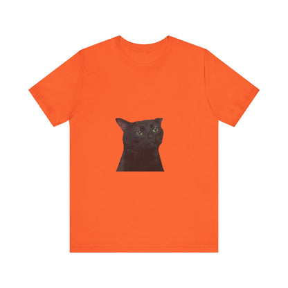 "Expressive Elegance: Sad Cat Unisex Jersey Short Sleeve Tee - Wear Your Emotions with Feline Grace!"