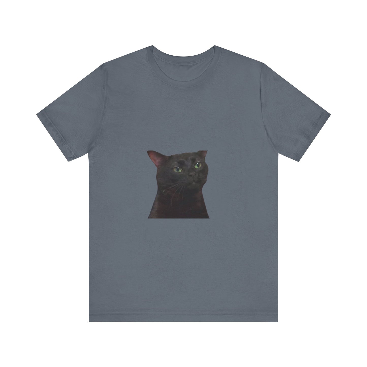 "Expressive Elegance: Sad Cat Unisex Jersey Short Sleeve Tee - Wear Your Emotions with Feline Grace!"