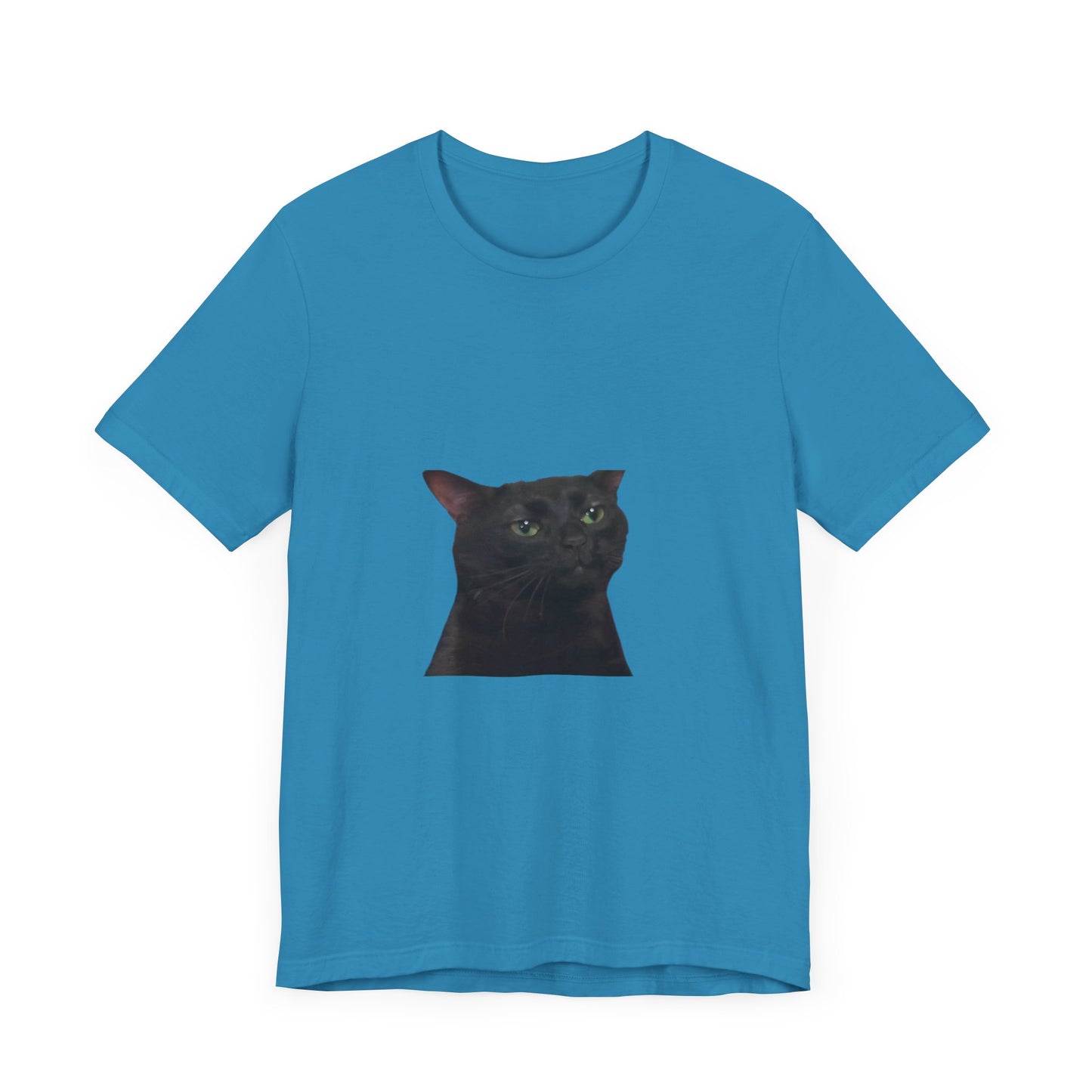 "Expressive Elegance: Sad Cat Unisex Jersey Short Sleeve Tee - Wear Your Emotions with Feline Grace!"