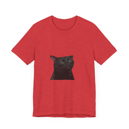 "Expressive Elegance: Sad Cat Unisex Jersey Short Sleeve Tee - Wear Your Emotions with Feline Grace!"