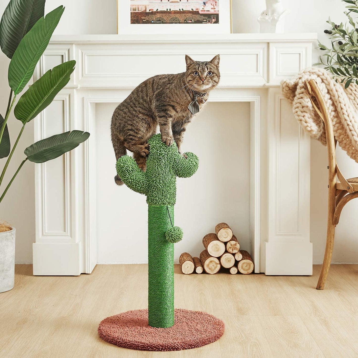 25.6" Cactus Cat Scratching Post with Dangling Ball for Cats Brown