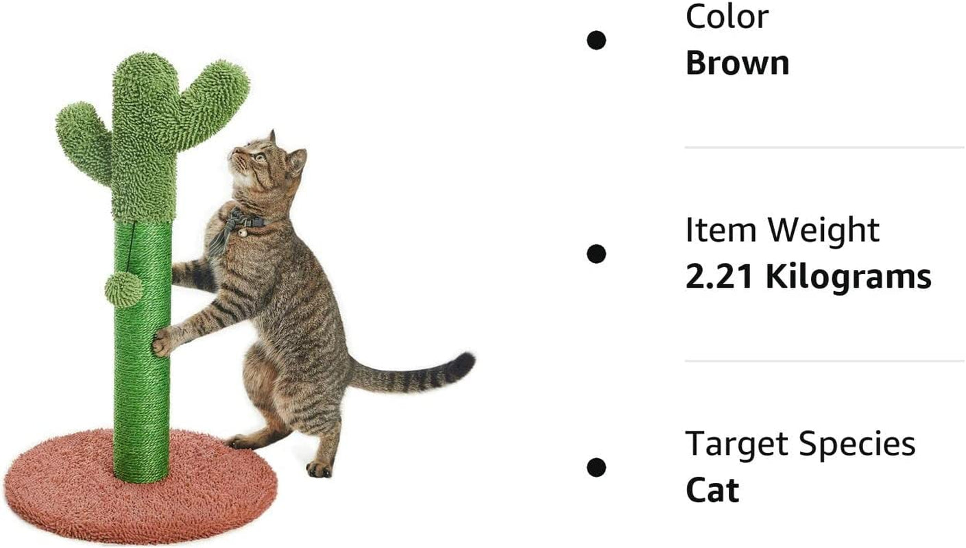 25.6" Cactus Cat Scratching Post with Dangling Ball for Cats Brown