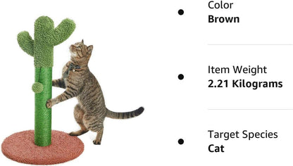 25.6" Cactus Cat Scratching Post with Dangling Ball for Cats Brown